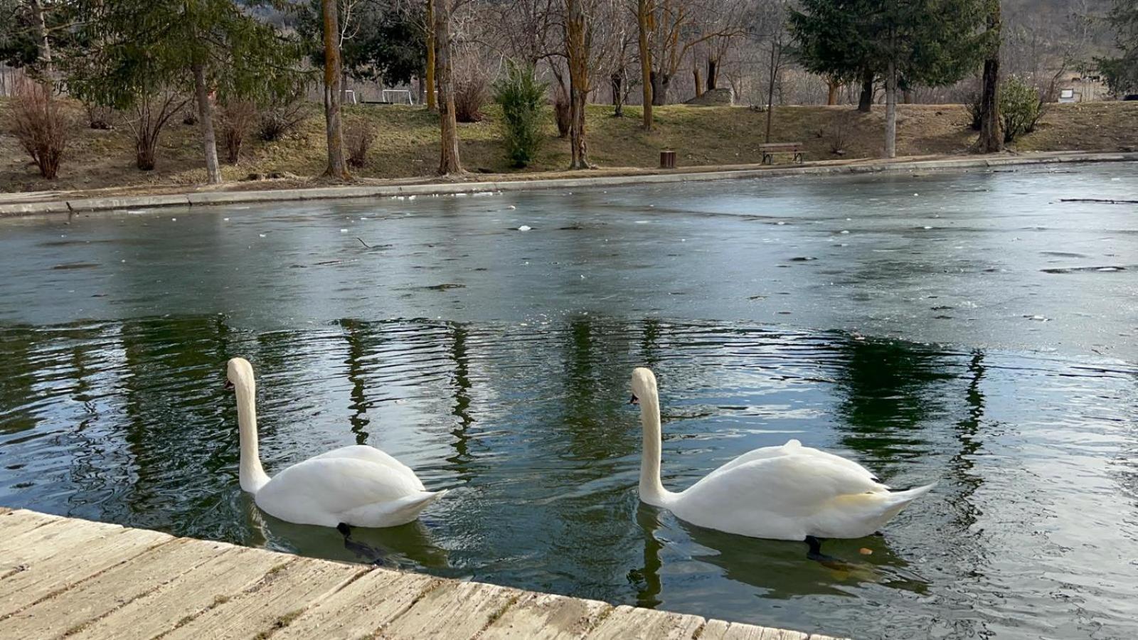 Apartament Del Llac Osséja Extérieur photo